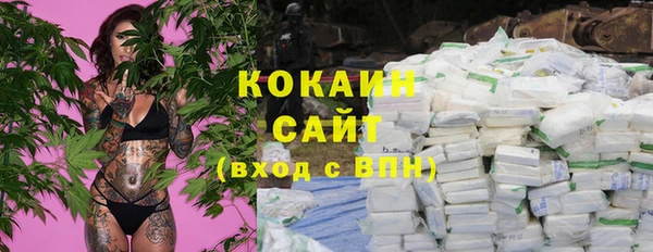 шишки Богородск