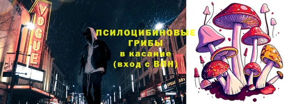 mdpv Богданович