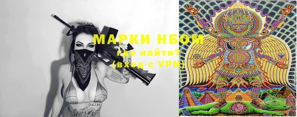шишки Богородск